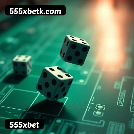 Suporte 24 horas 555xbet